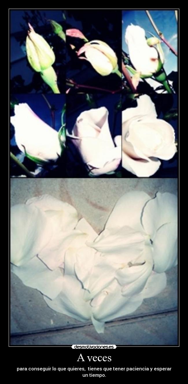 A veces - para conseguir lo que quieres,  tienes que tener paciencia y esperar un tiempo.