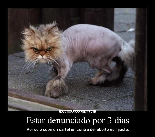 Estar denunciado por 3 dias - Por solo subir un cartel en contra del aborto es injusto.