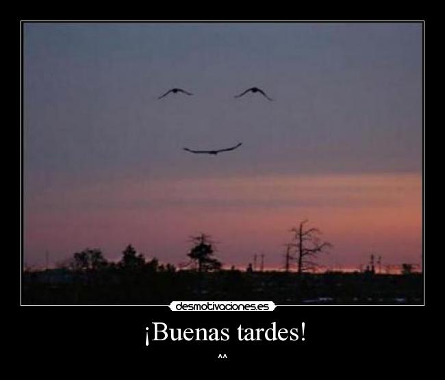 ¡Buenas tardes! -