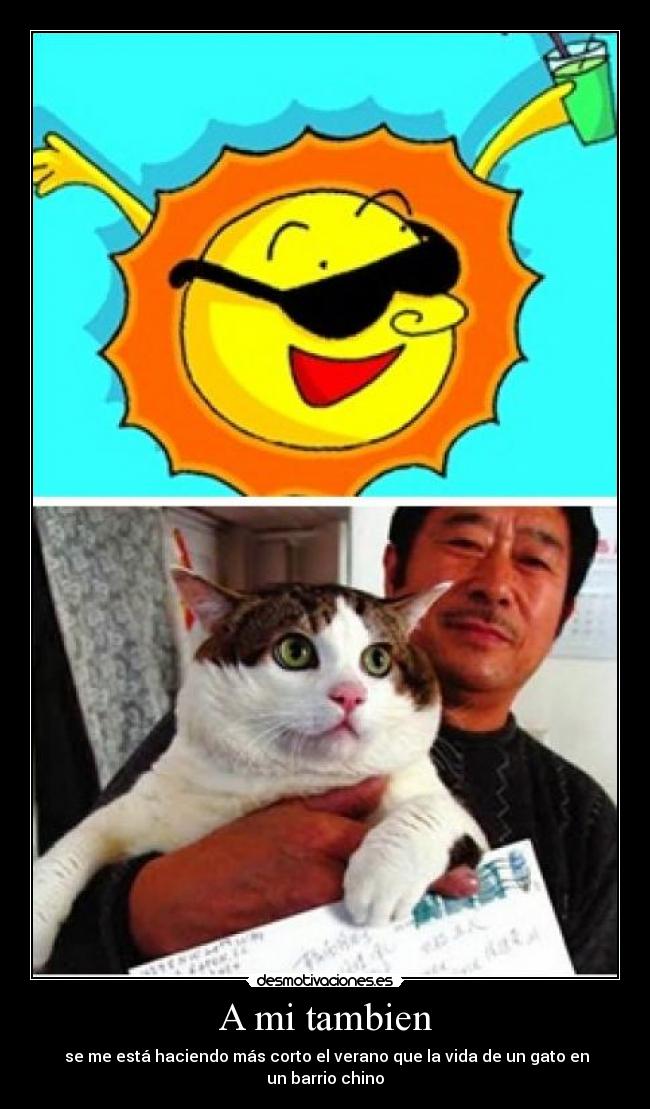 A mi tambien - se me está haciendo más corto el verano que la vida de un gato en un barrio chino