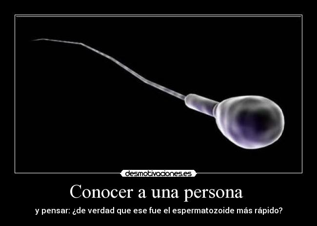 carteles sdaf desmotivaciones