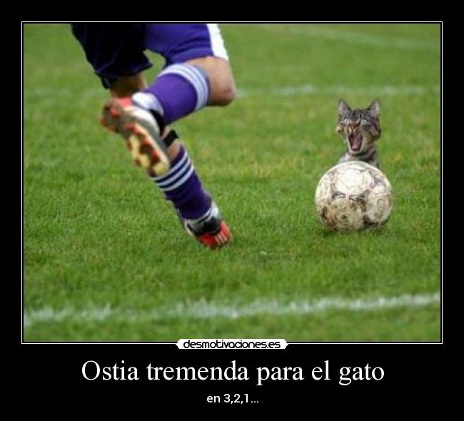 Ostia tremenda para el gato - en 3,2,1...