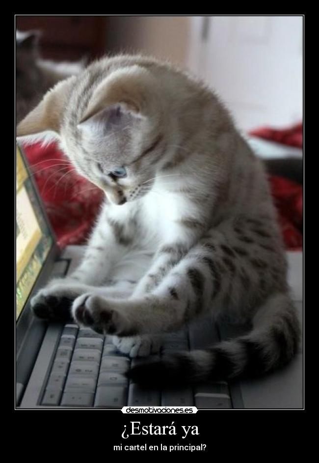 ¿Estará ya - mi cartel en la principal?