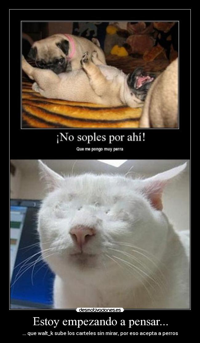 Estoy empezando a pensar... - 