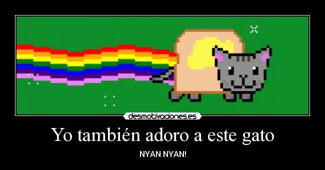 Yo también adoro a este gato - NYAN NYAN!