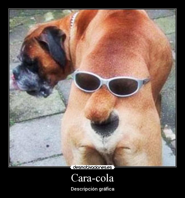 Cara-cola - 