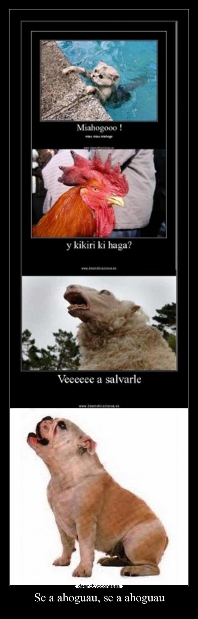 Se a ahoguau, se a ahoguau -