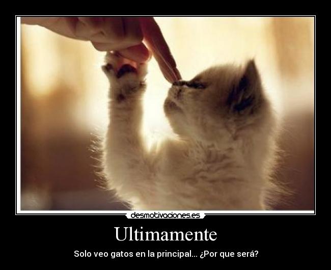 Ultimamente - 