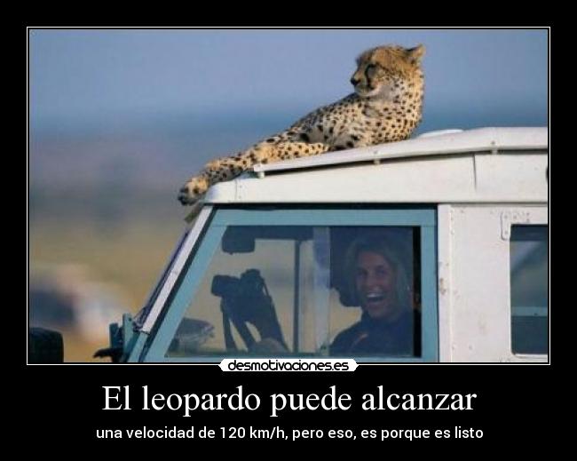 El leopardo puede alcanzar -