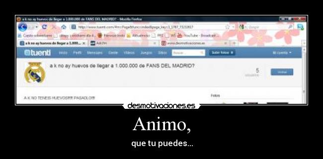 Animo, -