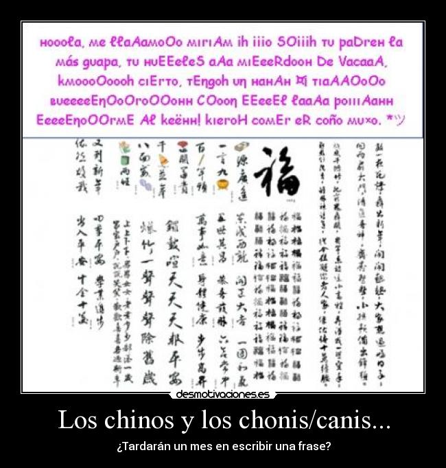 Los chinos y los chonis/canis... -