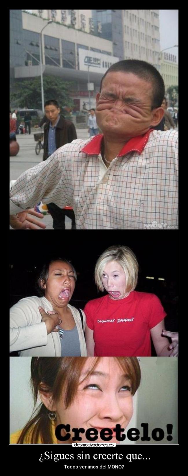 ¿Sigues sin creerte que... - 