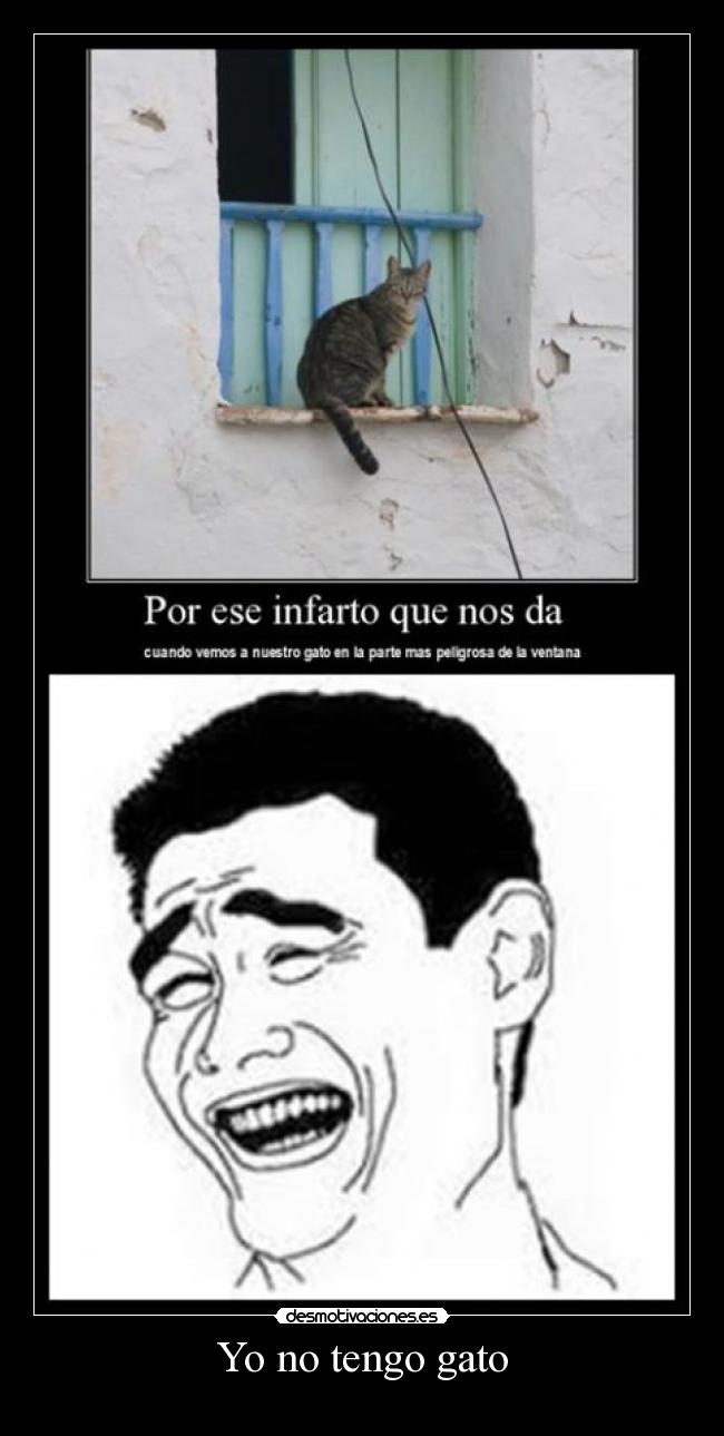 Yo no tengo gato - 