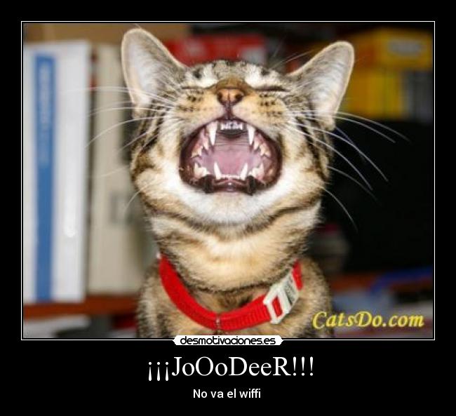 ¡¡¡JoOoDeeR!!! - No va el wiffi 