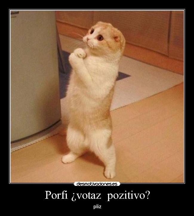 Porfi ¿votaz pozitivo? -