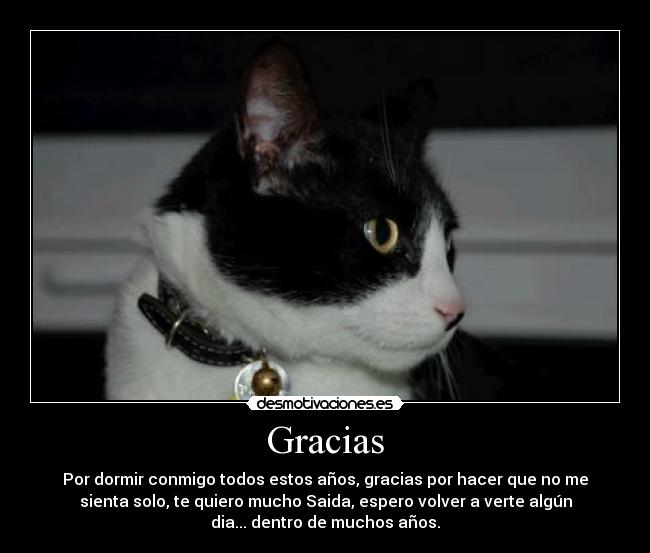 Gracias - 