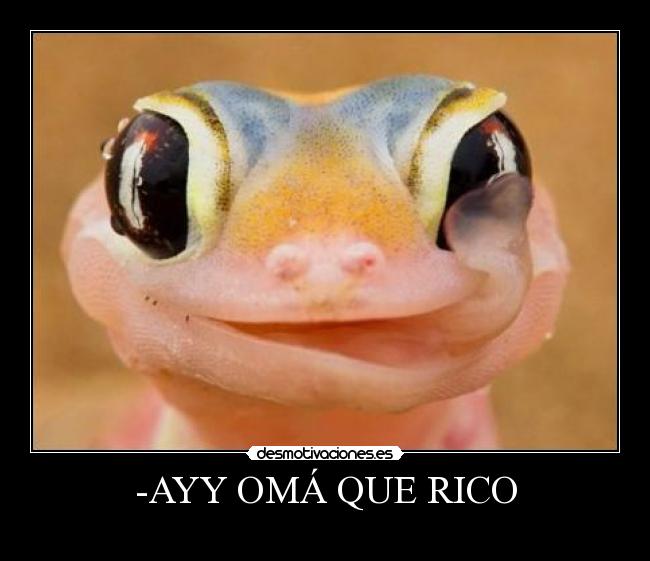-AYY OMÁ QUE RICO -