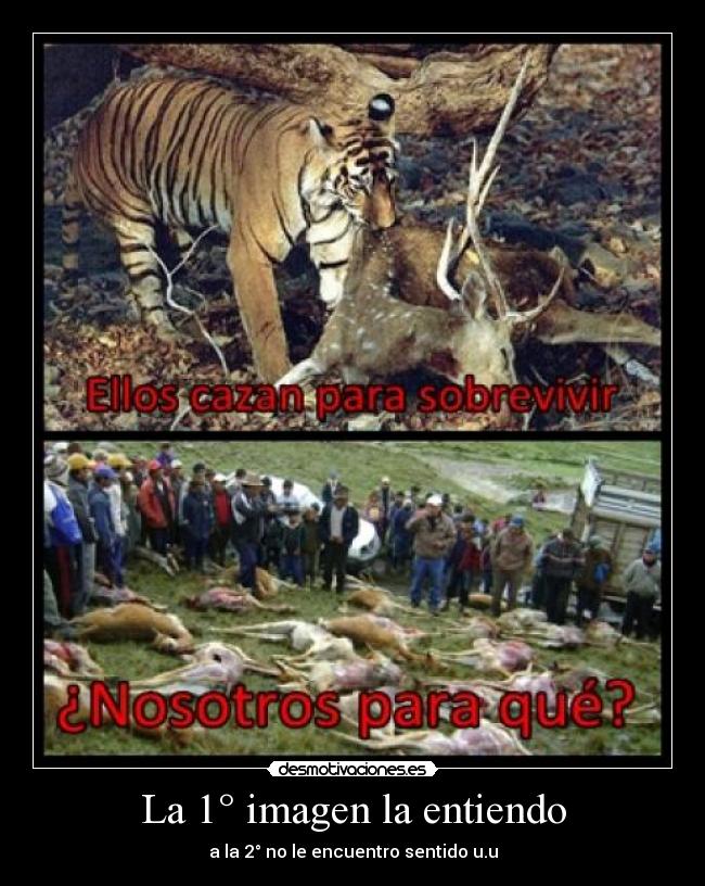 La 1° imagen la entiendo - 