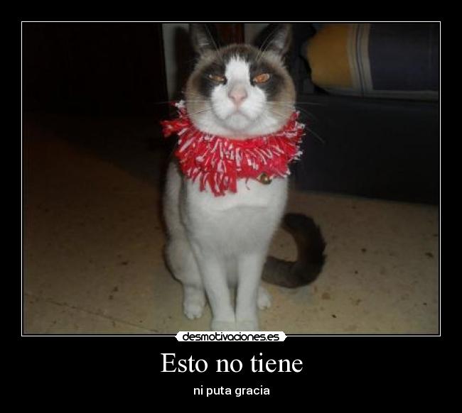 carteles gatosgracia desmotivaciones