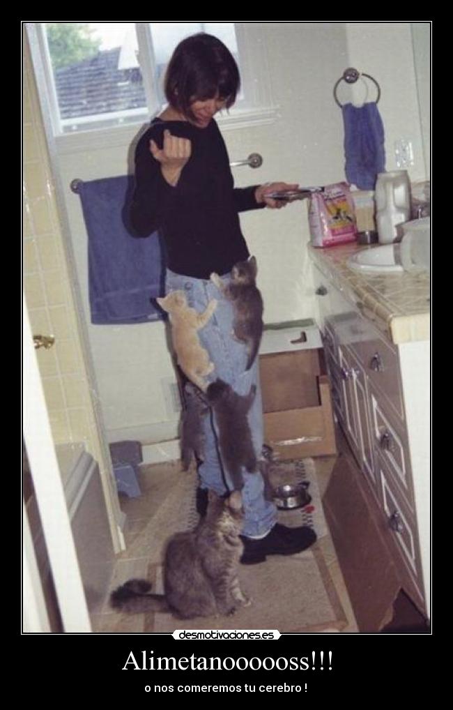 Alimetanoooooss!!! -