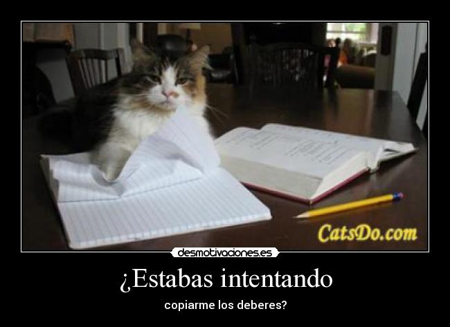 ¿Estabas intentando - copiarme los deberes?