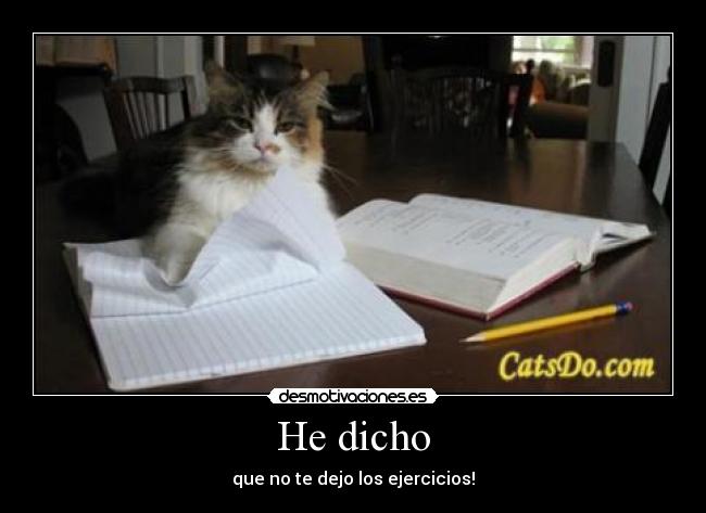 carteles gatosdeberes ejercicios desmotivaciones