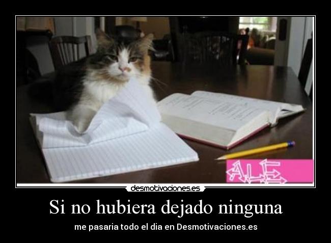 Si no hubiera dejado ninguna - me pasaria todo el dia en Desmotivaciones.es