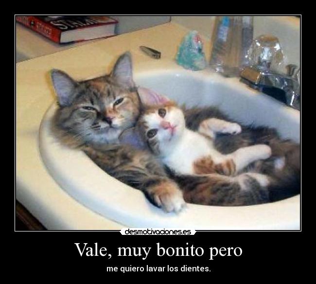 Vale, muy bonito pero -