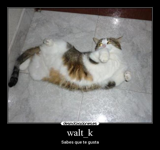 walt_k -