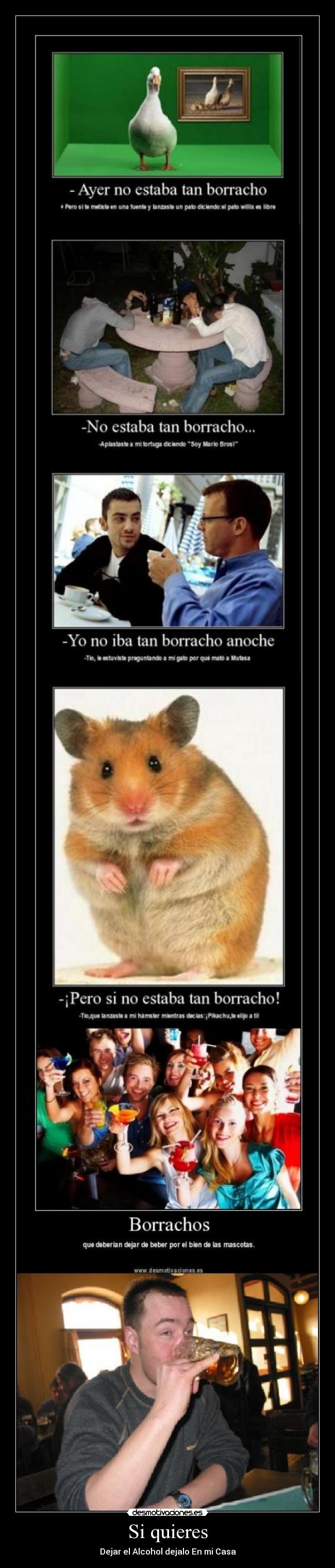 Si quieres - Dejar el Alcohol dejalo En mi Casa