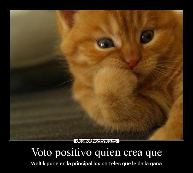 Voto positivo quien crea que -
