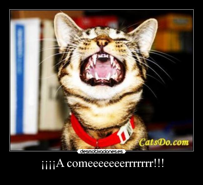 ¡¡¡¡A comeeeeeeerrrrrrr!!! -