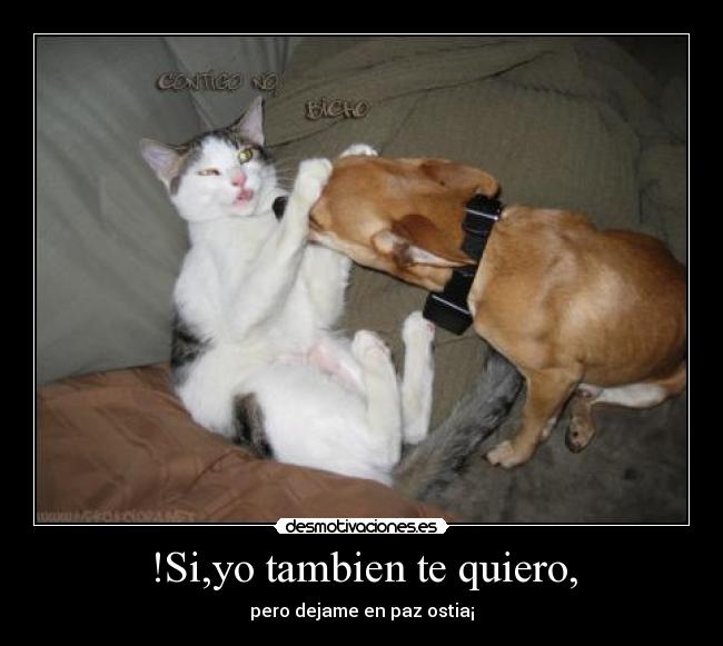 !Si,yo tambien te quiero, - pero dejame en paz ostia¡