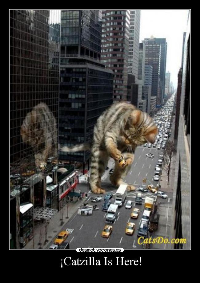 ¡Catzilla Is Here! -