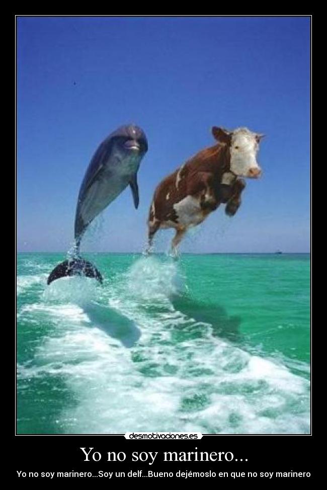 carteles marinero soy vaca delfin pato willix mixta desmotivaciones