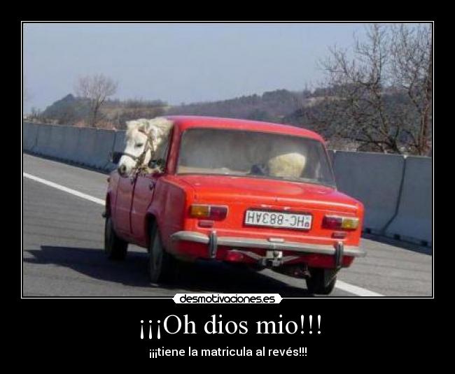 ¡¡¡Oh dios mio!!! - 