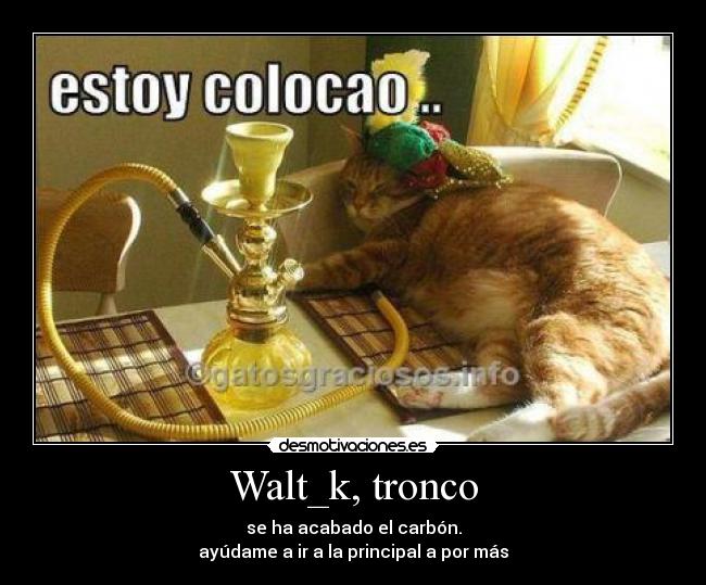 Walt_k, tronco - 