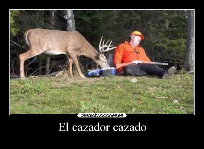 carteles cazador desmotivaciones
