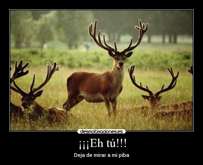 ¡¡¡Eh tú!!! - Deja de mirar a mi piba