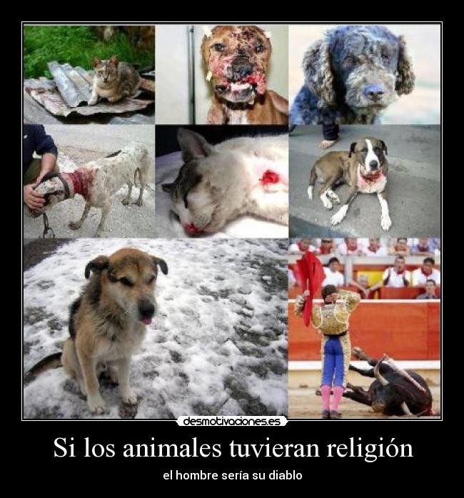 carteles animales religion mgc776 desmotivaciones