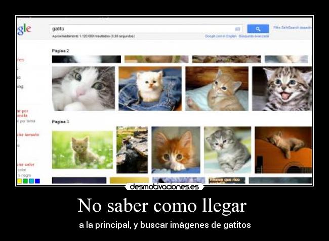 No saber como llegar  - a la principal, y buscar imágenes de gatitos