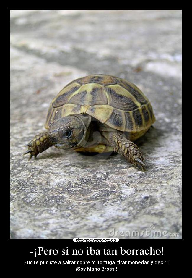 -¡Pero si no iba tan borracho! - 