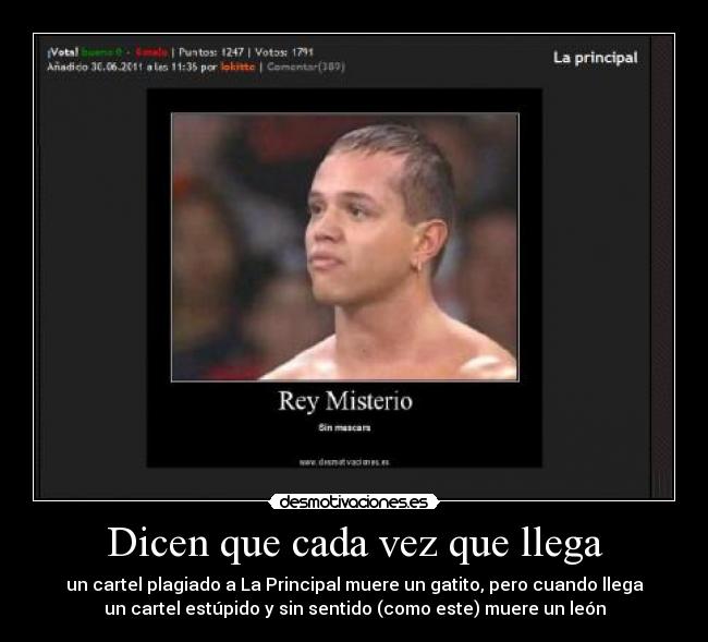 Dicen que cada vez que llega - un cartel plagiado a La Principal muere un gatito, pero cuando llega
un cartel estúpido y sin sentido (como este) muere un león