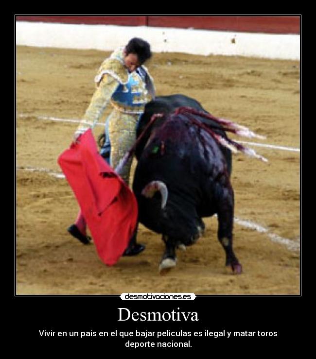 Desmotiva - Vivir en un pais en el que bajar peliculas es ilegal y matar toros deporte nacional.