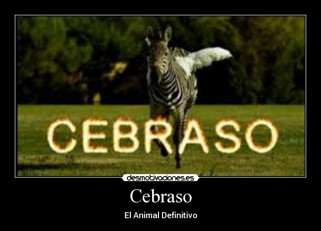 Cebraso - El Animal Definitivo