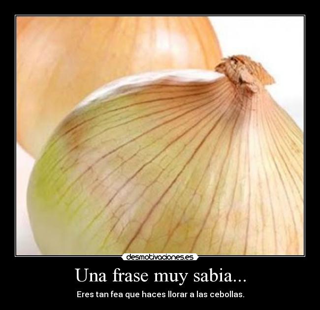 Una frase muy sabia... - 