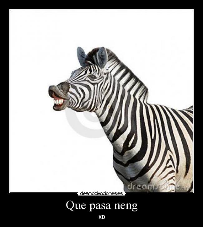 Que pasa neng - XD