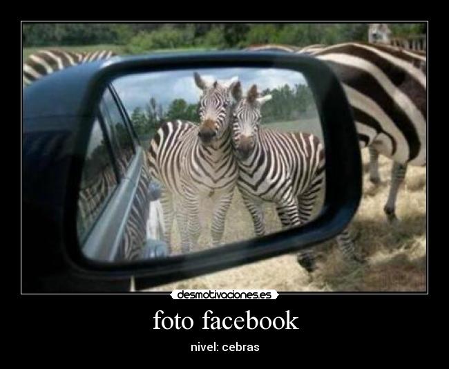 foto facebook - 