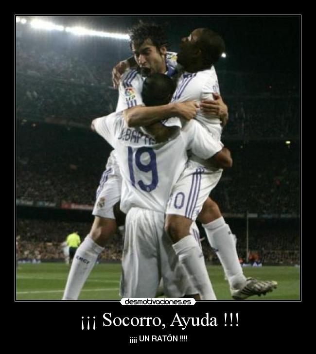 ¡¡¡ Socorro, Ayuda !!! - ¡¡¡¡ UN RATÓN !!!!