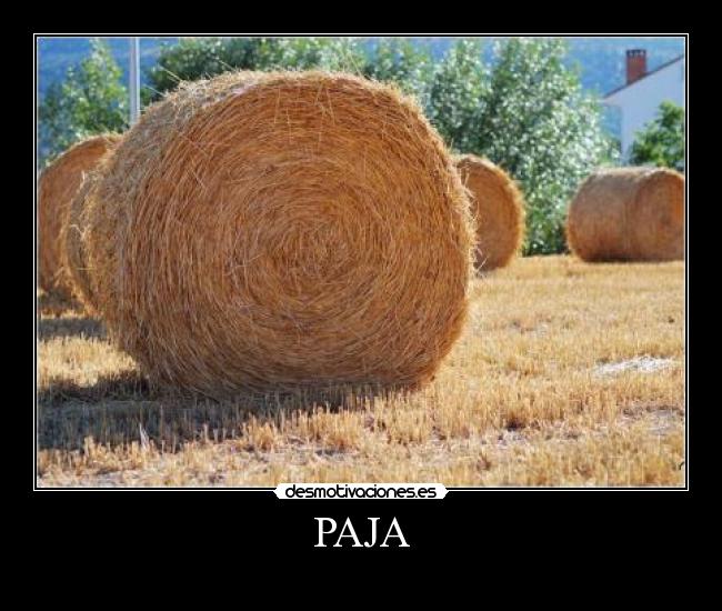 PAJA - 